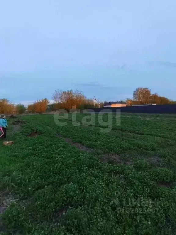 Участок в Брянская область, Брянский район, Отрадненское с/пос, с. ... - Фото 1