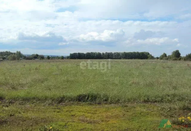 Участок в деревня Карайганово, Озёрная улица (53.5971 м) - Фото 2