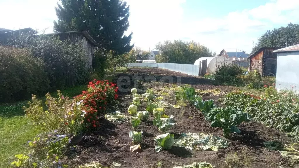 Участок в Заводоуковск, улица Республики (9.86 м) - Фото 2