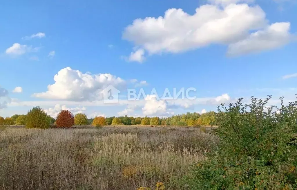 Участок в Владимирская область, Суздальский район, Селецкое ... - Фото 0