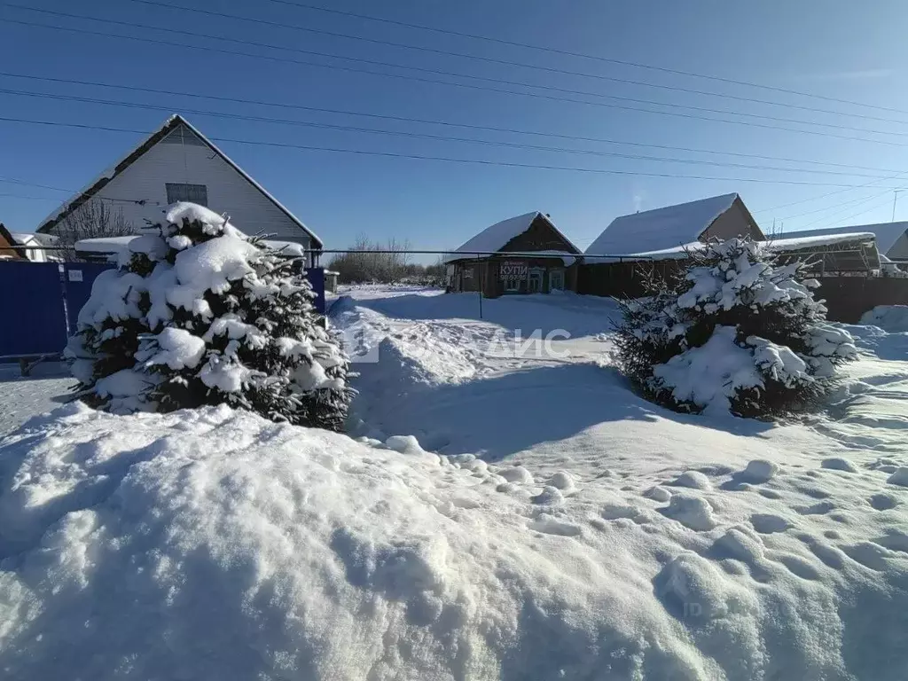 Дом в Пензенская область, Бессоновский район, с. Чемодановка Заречная ... - Фото 1