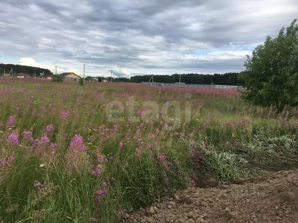 Участок в Свердловская область, Нижний Тагил  (7.0 сот.) - Фото 1