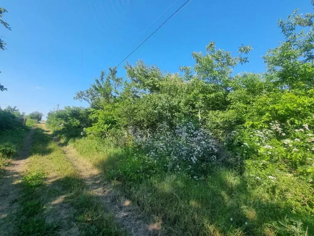 Участок в Краснодарский край, Ейское городское поселение, пос. ... - Фото 0