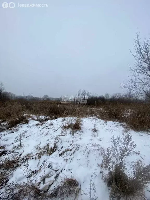 Участок в Полетаевское сельское поселение, село Чипышево, Советская ... - Фото 1