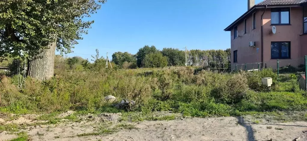 Участок в Калининградская область, Зеленоградский муниципальный округ, ... - Фото 0