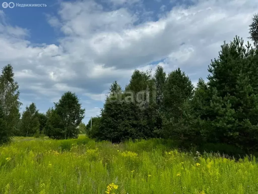 Участок в Нижегородская область, Городецкий муниципальный округ, ... - Фото 2