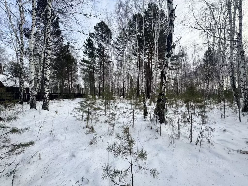 Участок в Иркутская область, Иркутский муниципальный округ, Жемчужина ... - Фото 1