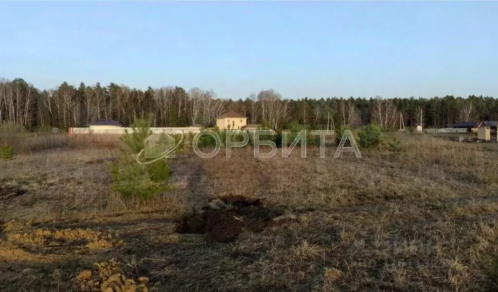 Участок в Тюменская область, Тюменский муниципальный округ, с. ... - Фото 1