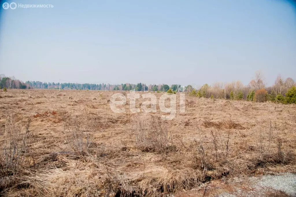 Участок в село Преображенка, Раздольная улица (22.5 м) - Фото 1