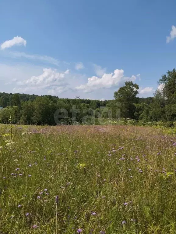 Участок в Калужская область, Малоярославецкий район, Недельное с/пос, ... - Фото 2