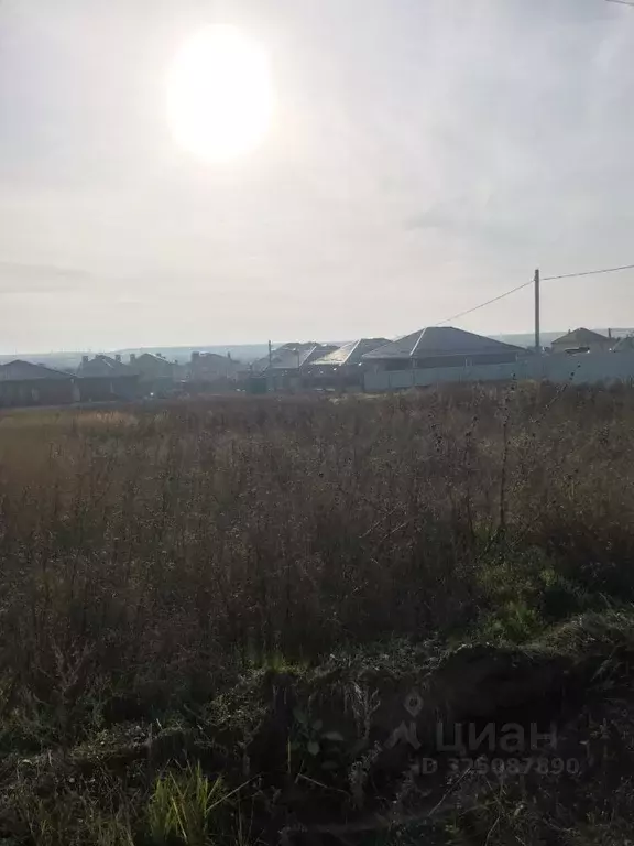 Участок в Ростовская область, Аксайский район, Большелогское с/пос, ... - Фото 2