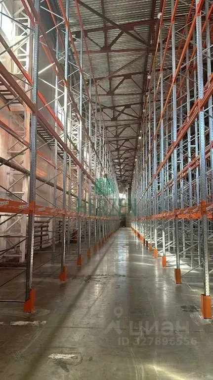 Склад в Московская область, Богородский городской округ, Обухово пгт, ... - Фото 1