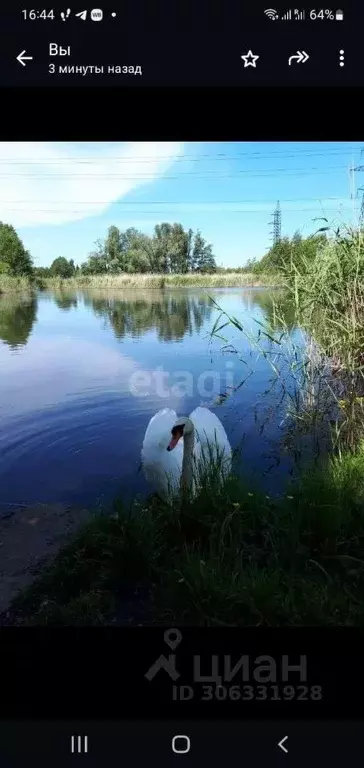 участок в калининградская область, калининград фрегат снт, (14.5 . - Фото 0