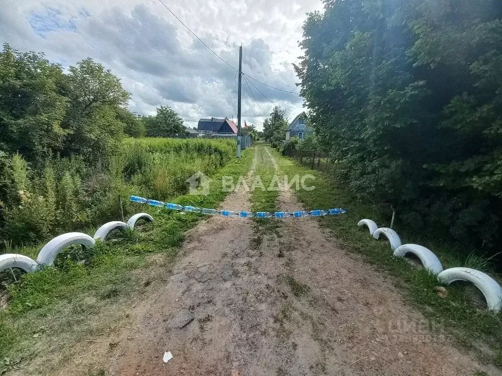 Участок в Калининградская область, Калининград Дельфин СНТ, проезд 6-й ... - Фото 0