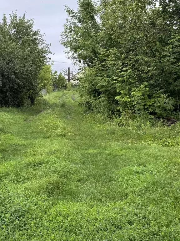 Участок в Воронежская область, Рамонский район, с. Березово ул. Мира ... - Фото 1