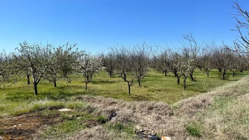 Участок в Крым, Красноперекопский район, с. Магазинка  (60.0 сот.) - Фото 1