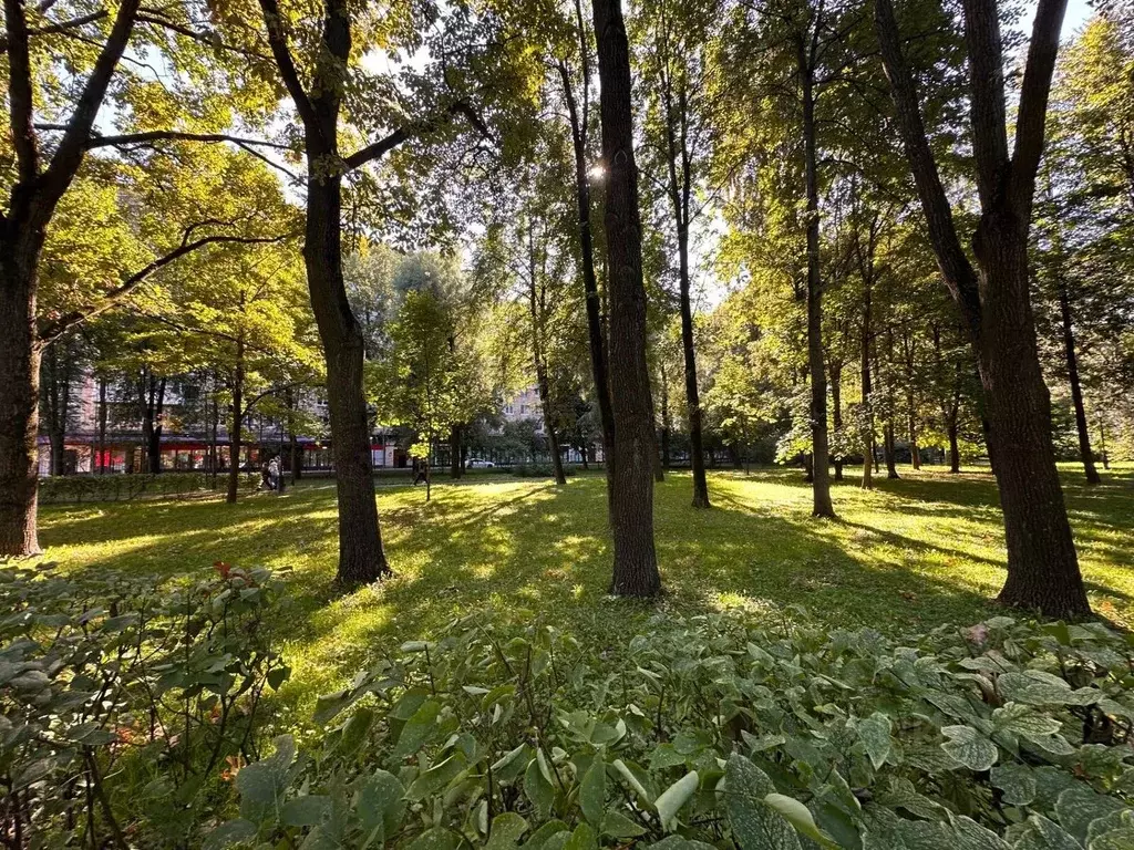 1-к кв. Санкт-Петербург просп. Кима, 28Б (30.0 м) - Фото 1