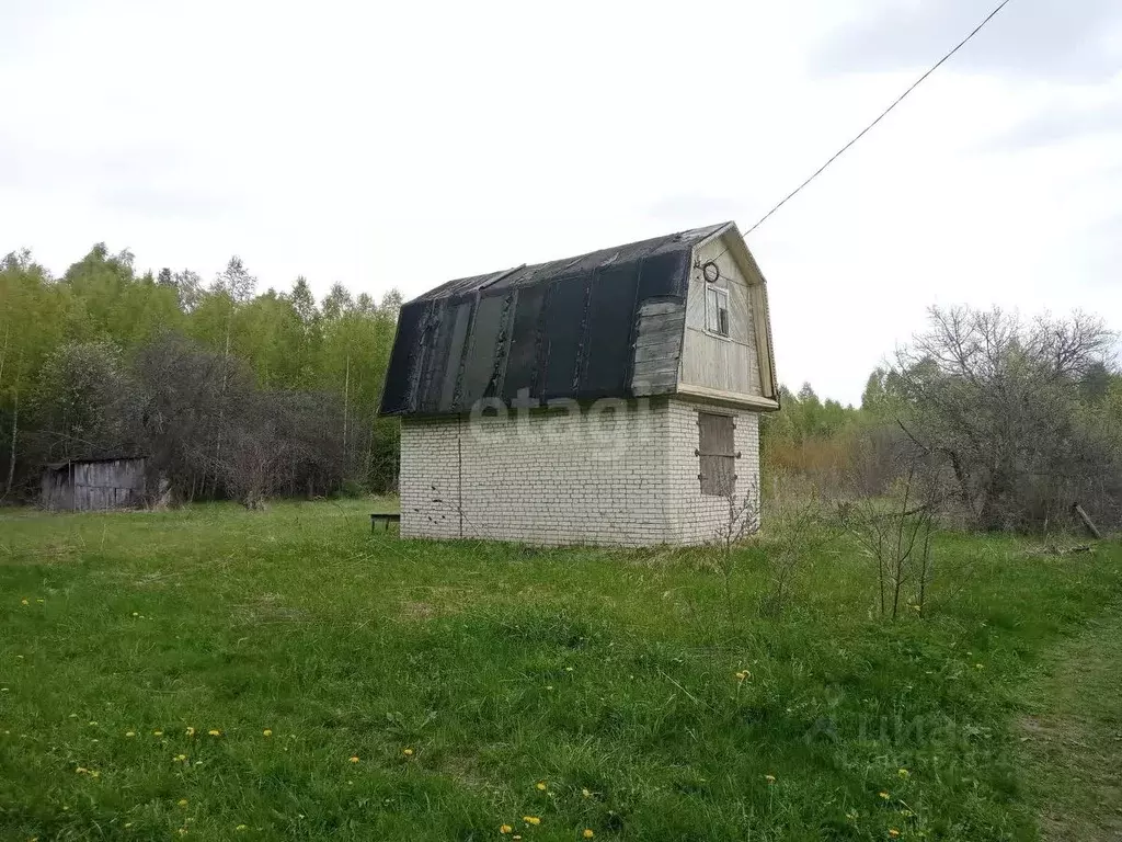 Дом в Владимирская область, Камешковский район, д. Брызгалово, Новки-1 ... - Фото 1