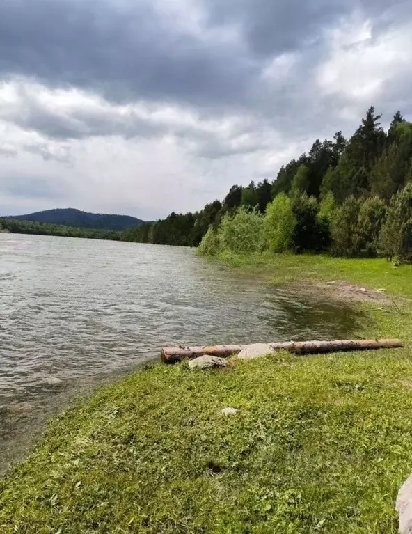 Участок в Алтай, Турочакский район, с. Верх-Бийск ул. Болотово (40.0 ... - Фото 1