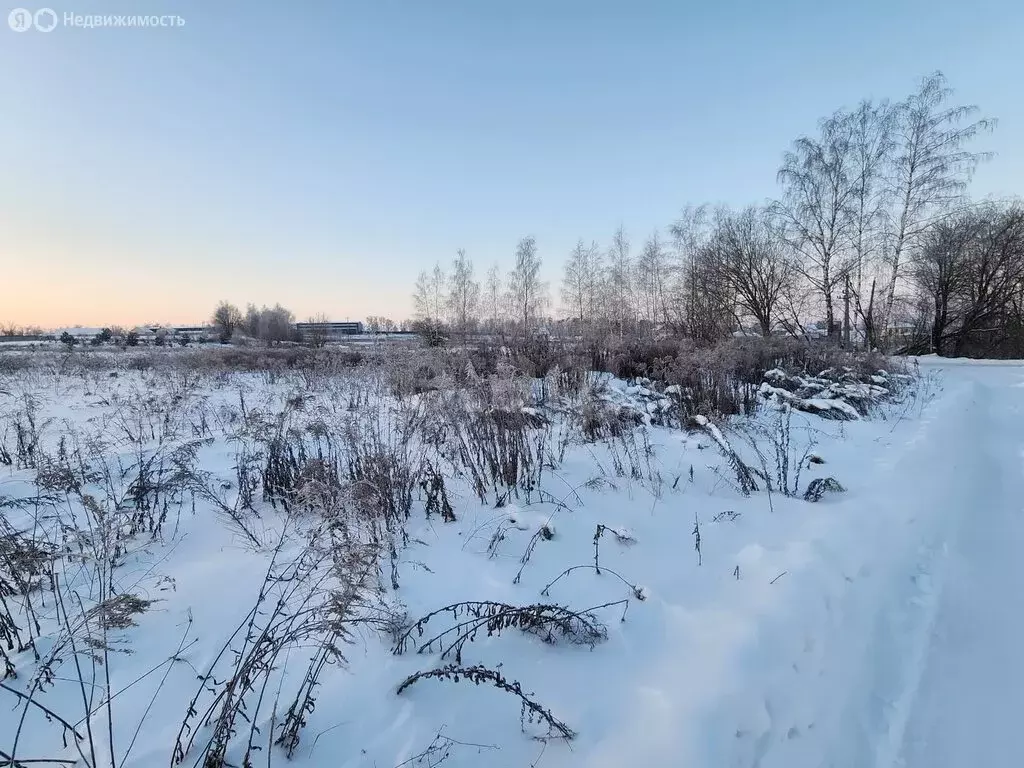 Участок в деревня Меркульево, улица Ленина (10 м) - Фото 2