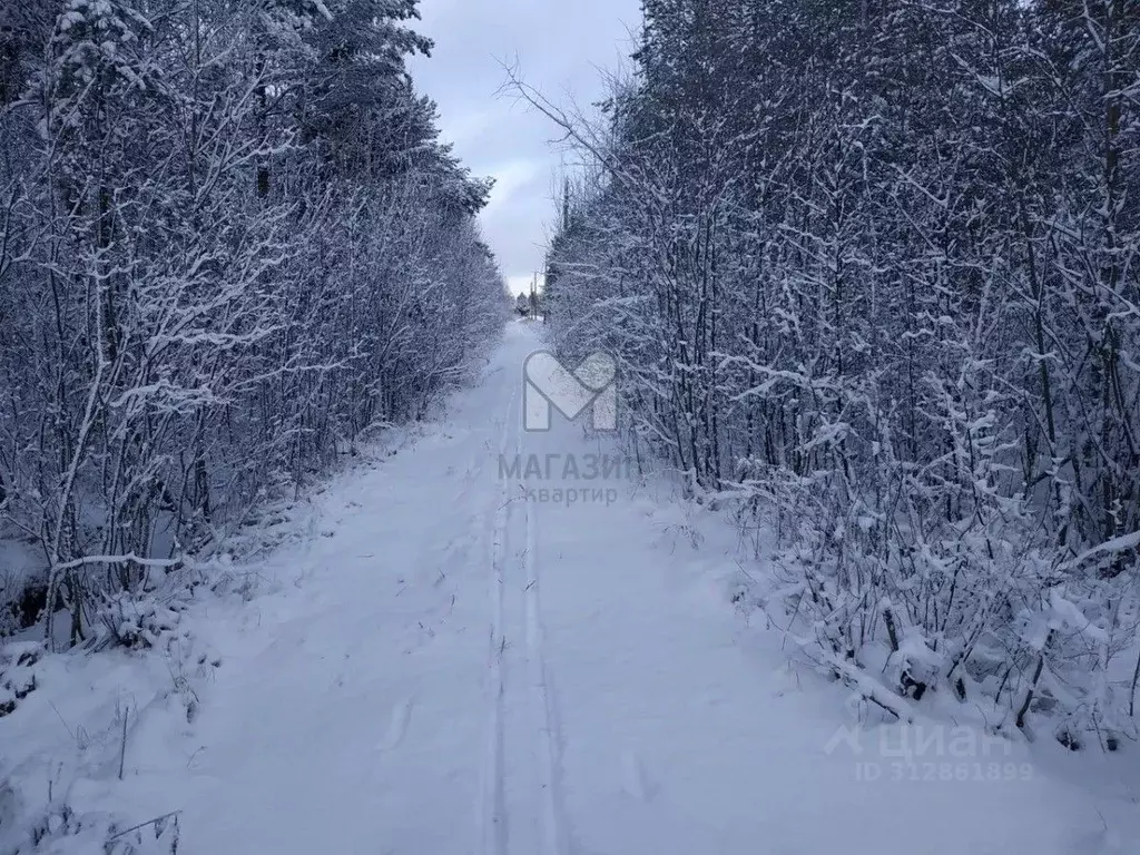 Участок в Ленинградская область, Волховский район, Кисельнинское ... - Фото 0