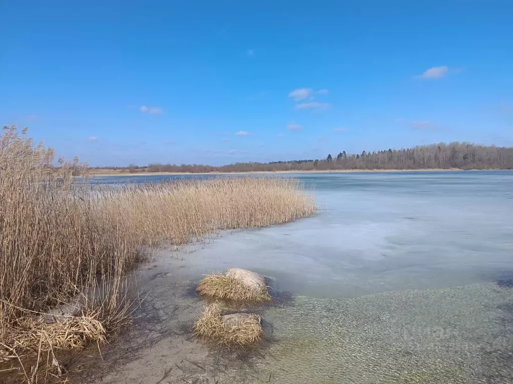 Участок в Ленинградская область, Волосовский район, Калитинское с/пос, ... - Фото 0