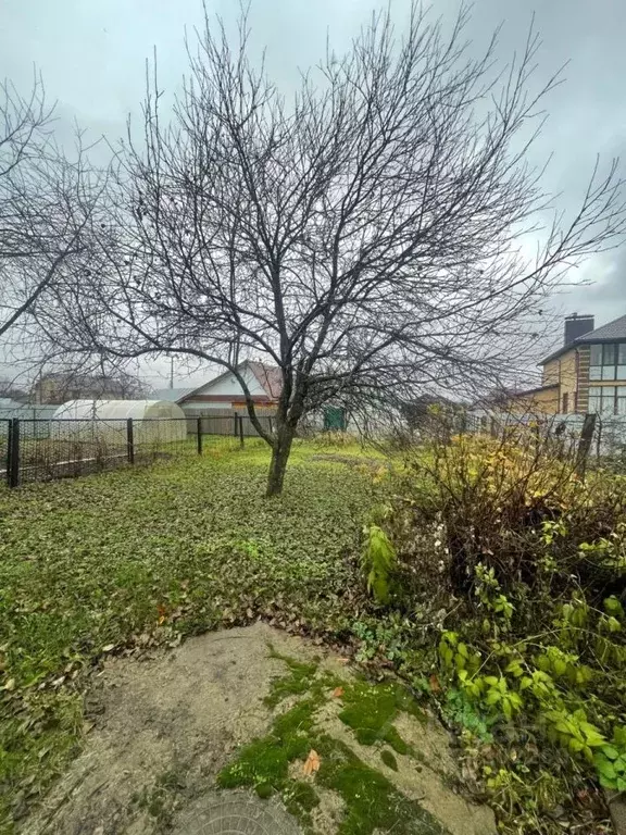 Дом в Татарстан, Зеленодольск ул. Центральная (37 м) - Фото 2