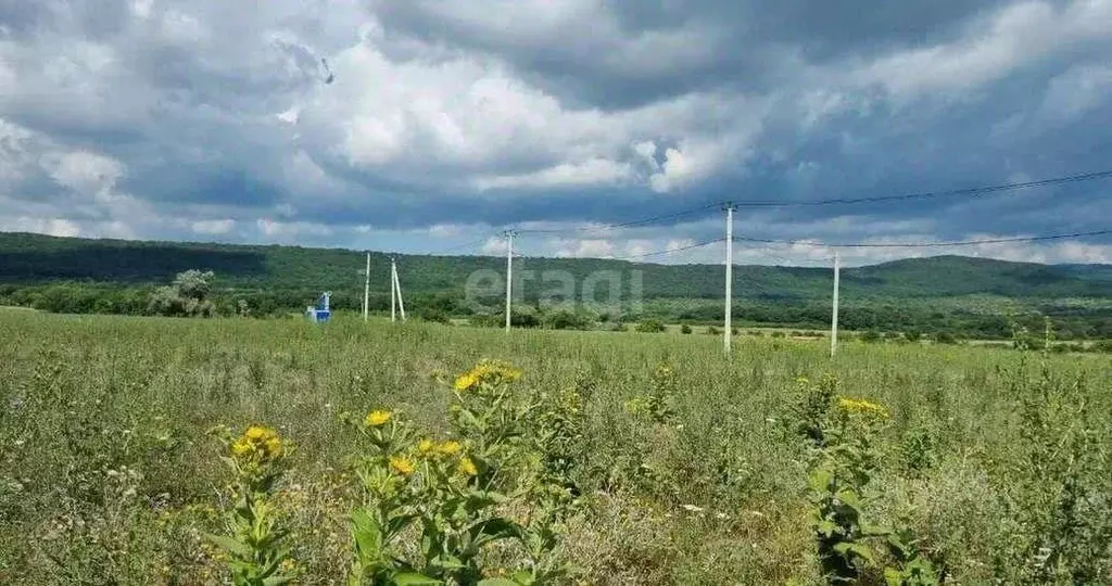 Участок в Краснодарский край, Новороссийск городской округ, ... - Фото 0