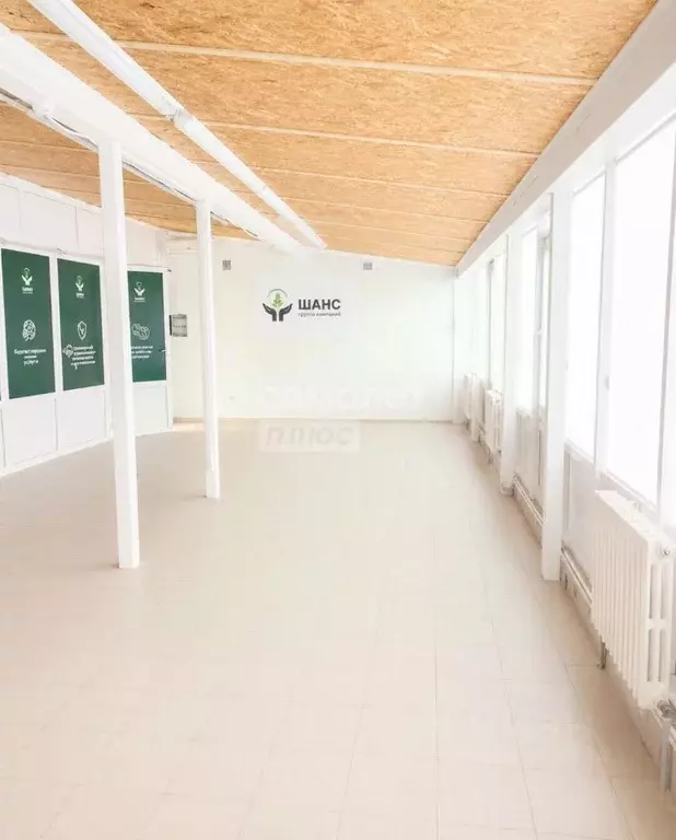 Офис в Воронежская область, Воронеж ул. Димитрова, 53А (69 м) - Фото 2
