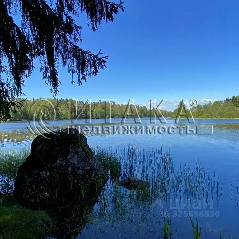 Участок в Ленинградская область, Выборгский район, Каменногорское ... - Фото 1