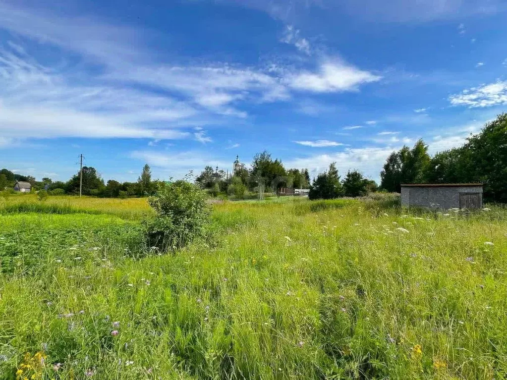 Участок в Ярославская область, Переславль-Залесский муниципальный ... - Фото 1