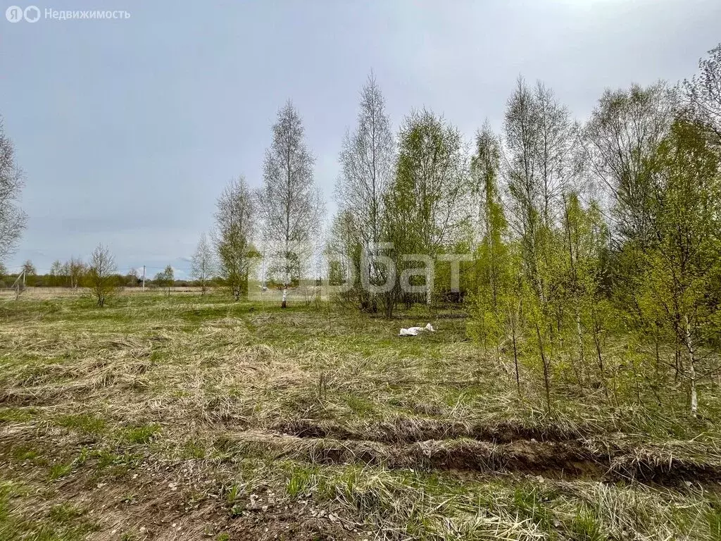 Участок в Кострома, Счастливая улица (13 м) - Фото 1
