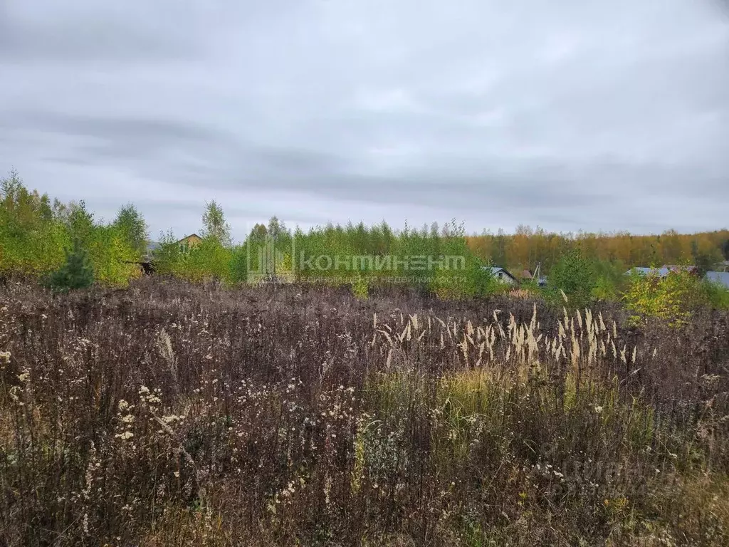 Участок в Владимирская область, Собинский муниципальный округ, д. ... - Фото 2