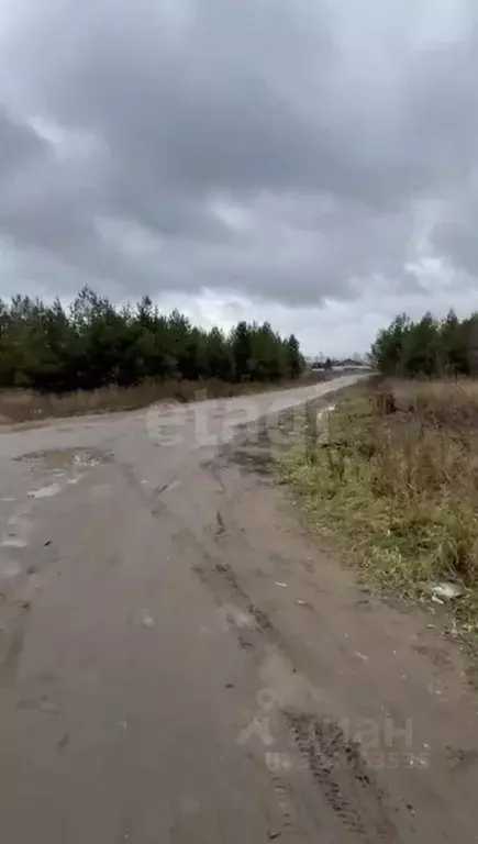 Участок в Удмуртия, Завьяловский район, д. Каменное  (100.0 сот.) - Фото 1