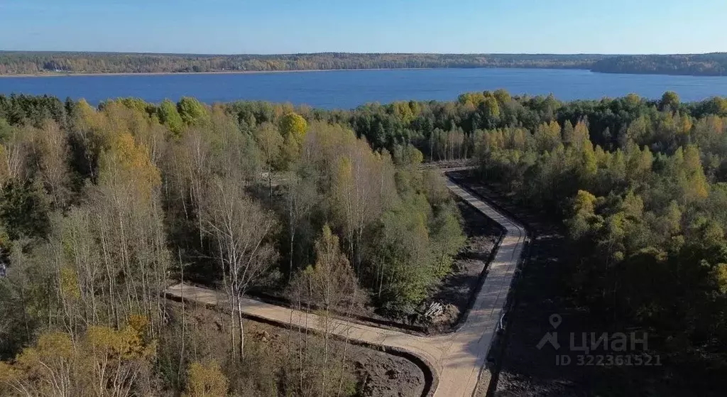 Участок в Ленинградская область, Выборгский район, Приморское ... - Фото 2
