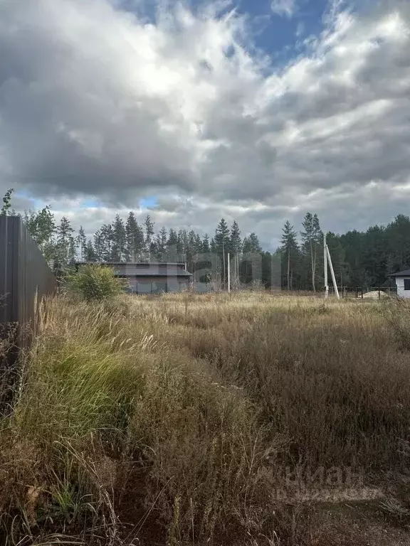 Участок в Воронежская область, Рамонский район, Новоживотинновское ... - Фото 1