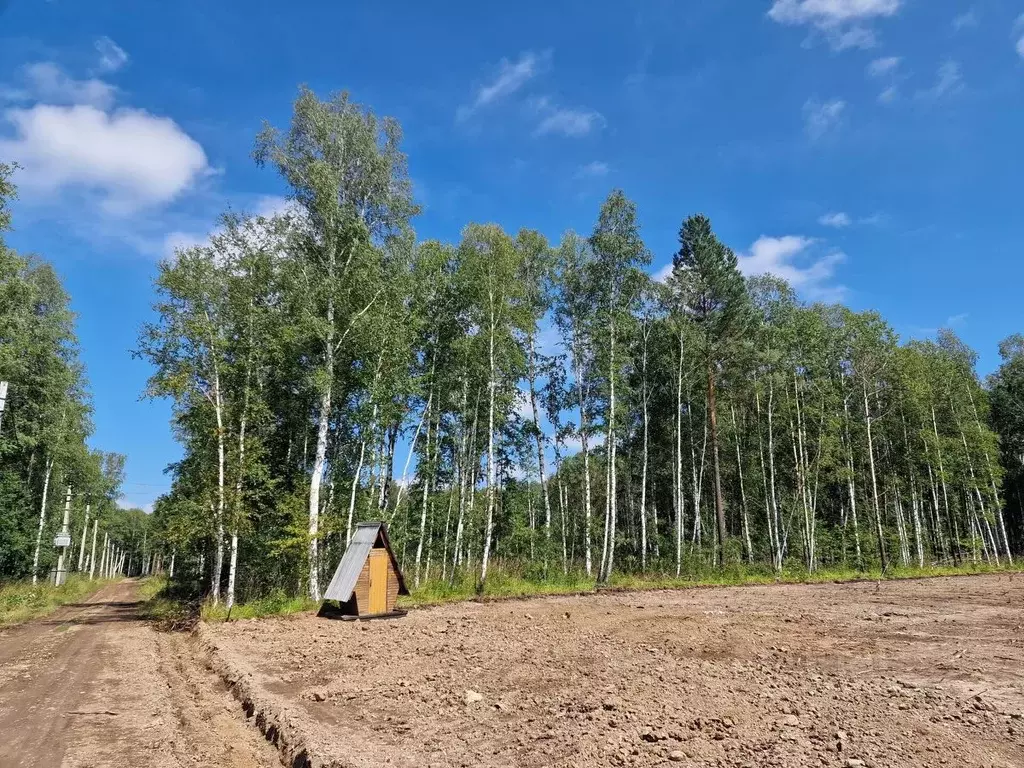 Участок в Иркутская область, Иркутский муниципальный округ, Ангарские ... - Фото 1