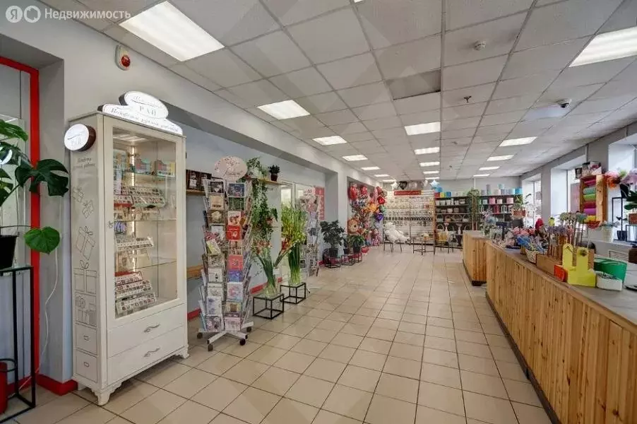 Помещение свободного назначения (277 м) - Фото 2