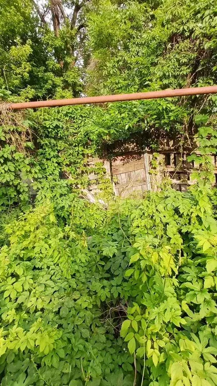 Дом 76 м на участке 3,3 сот. - Фото 1
