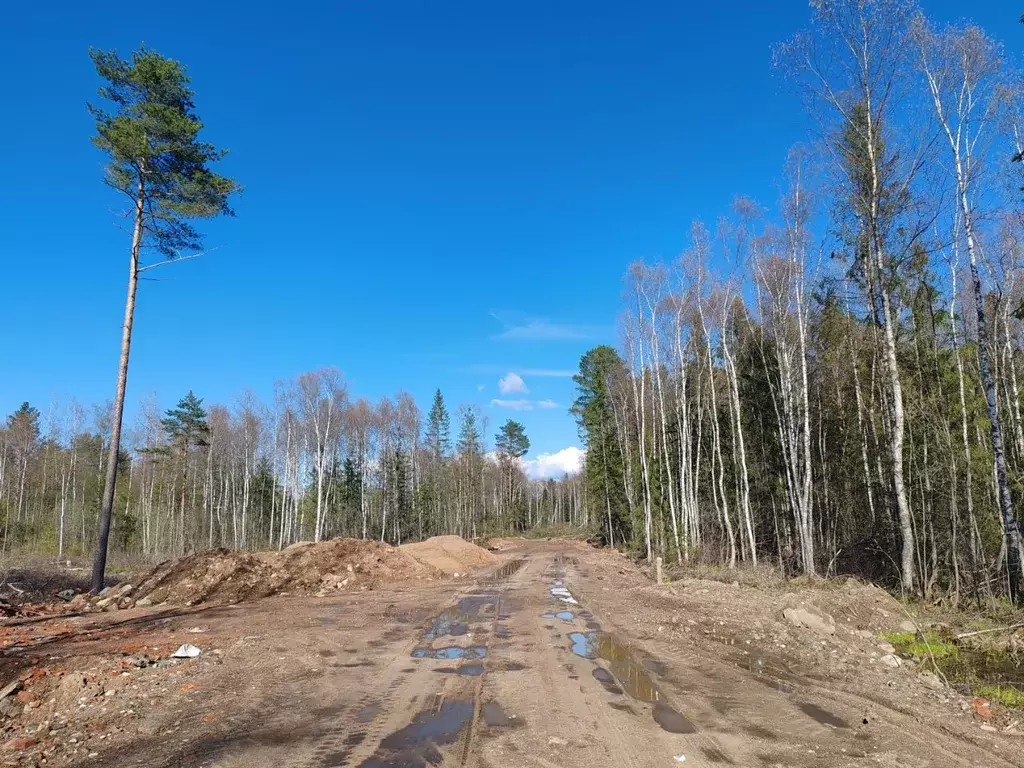 Участок в Новгородская область, Валдай ул. Дружбы (10.0 сот.) - Фото 0