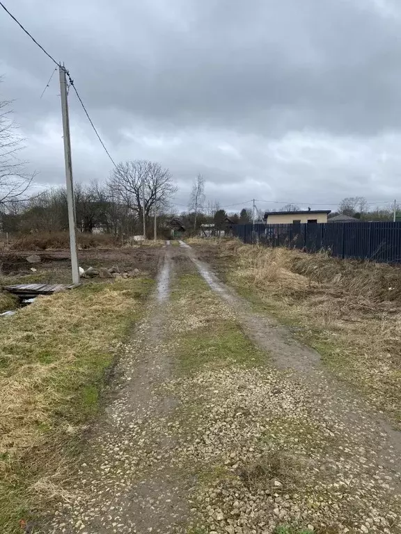 Участок в Ленинградская область, Ломоносовский район, Ропшинское ... - Фото 2