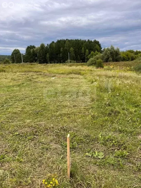 Участок в Малая Сюга, Малиновская улица (12 м) - Фото 1