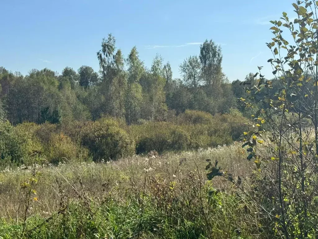 Участок в Московская область, Солнечногорск городской округ, д. Мостки ... - Фото 0