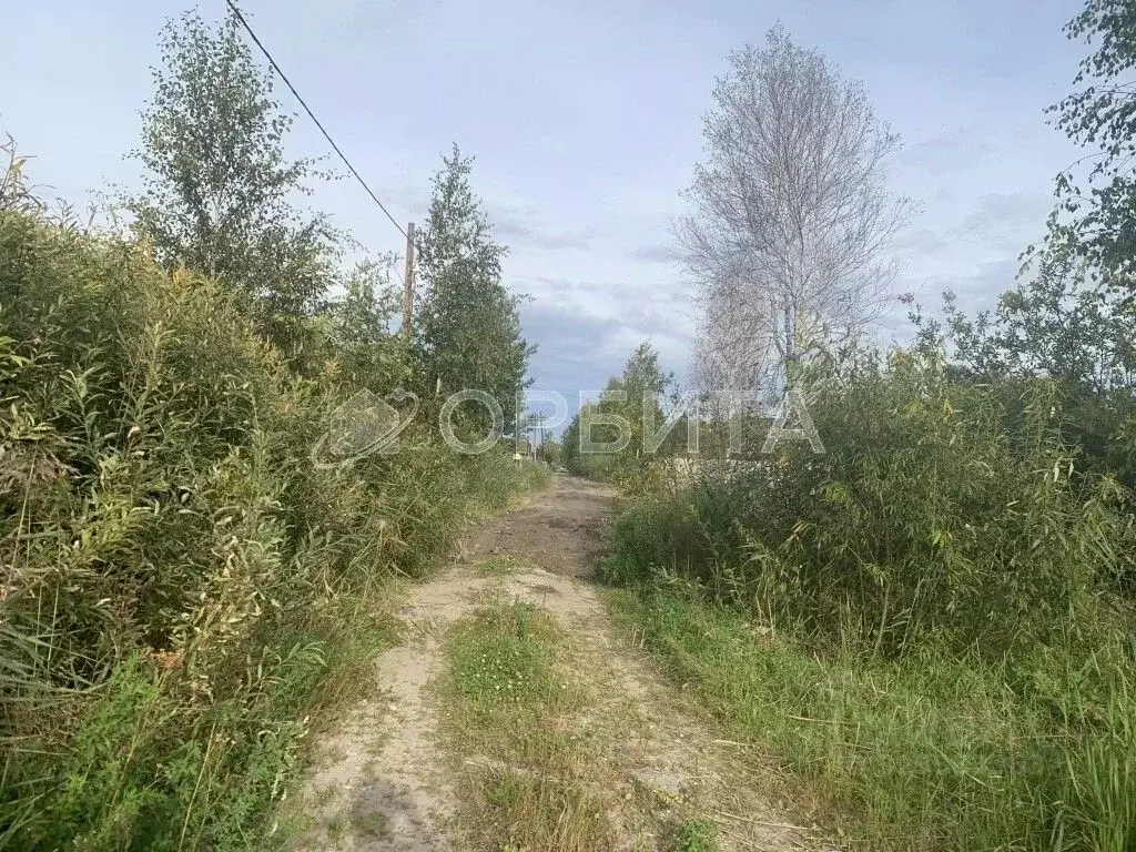 Участок в Тюменская область, Нижнетавдинский муниципальный округ, ... - Фото 2