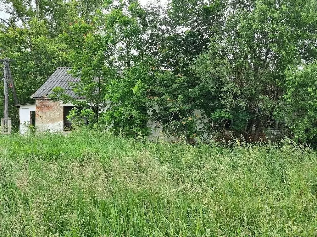 Помещение свободного назначения в Тульская область, Чернский район, ... - Фото 2