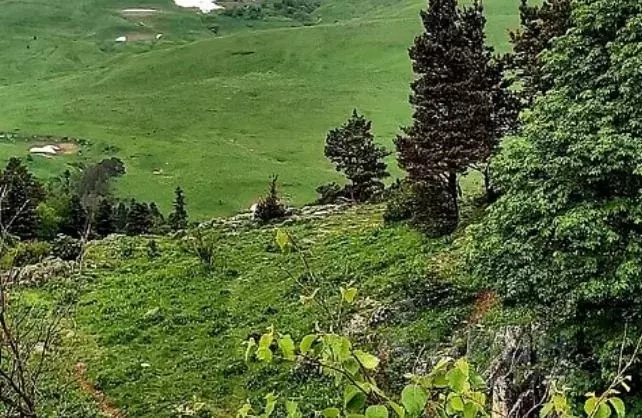 Участок в Адыгея, Майкопский район, Даховская ст-ца  (550.0 сот.) - Фото 1