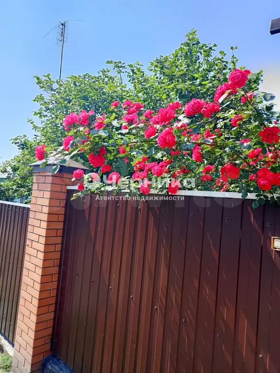 Дом 55 м на участке 6 сот. - Фото 0