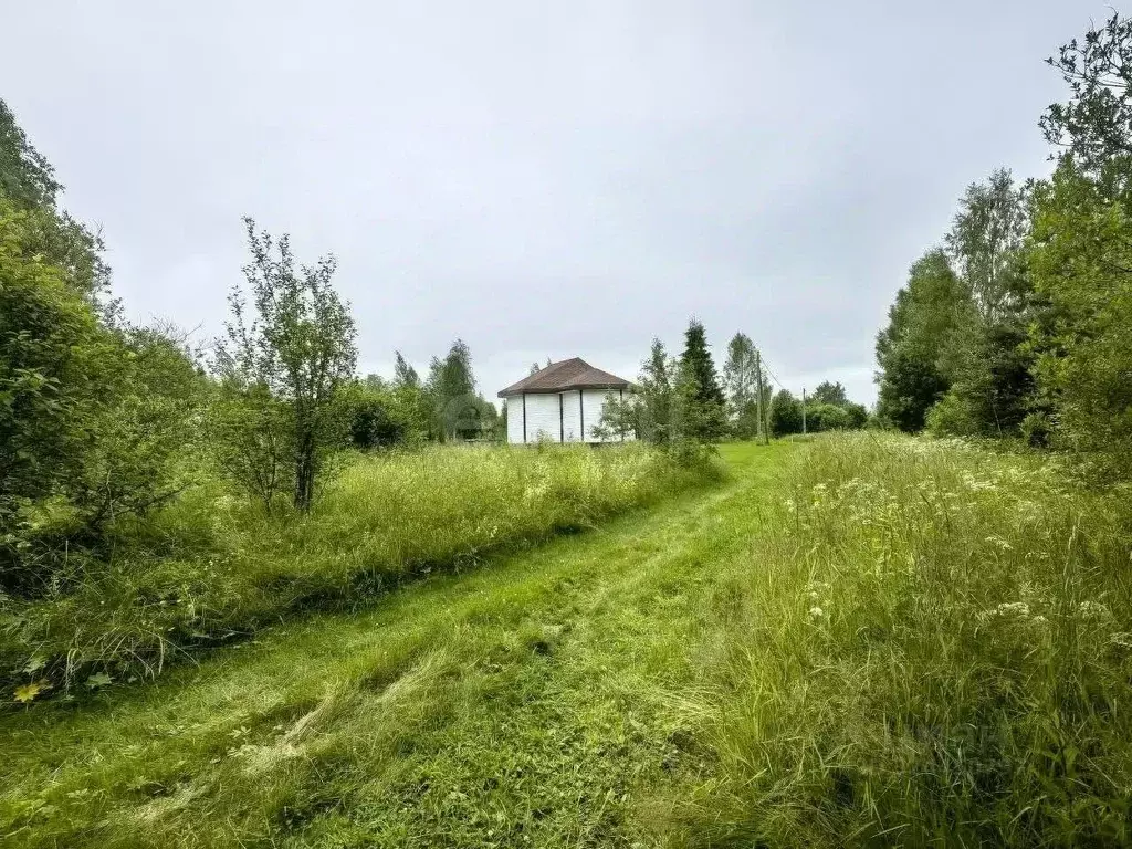 Участок в Ленинградская область, Волховский район, Колчановское с/пос, ... - Фото 1