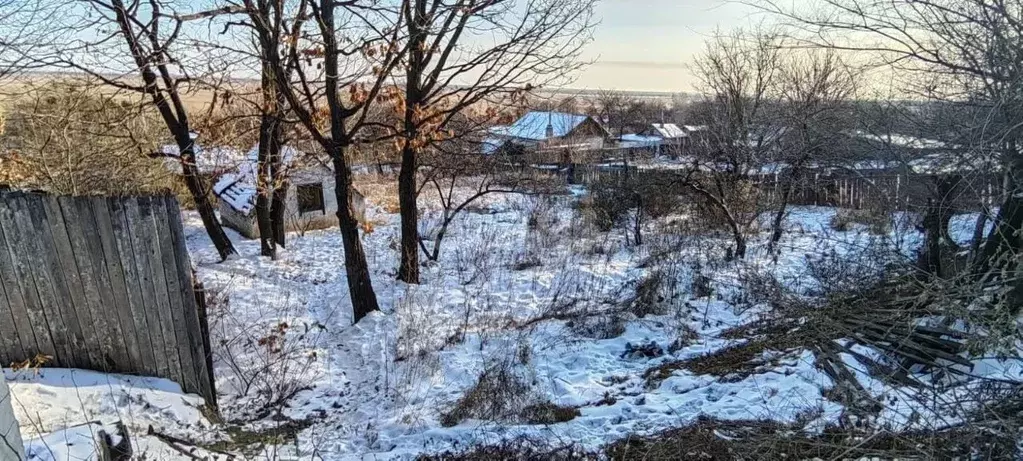Участок в Амурская область, Благовещенск Маячок СТ,  (6.6 сот.) - Фото 0