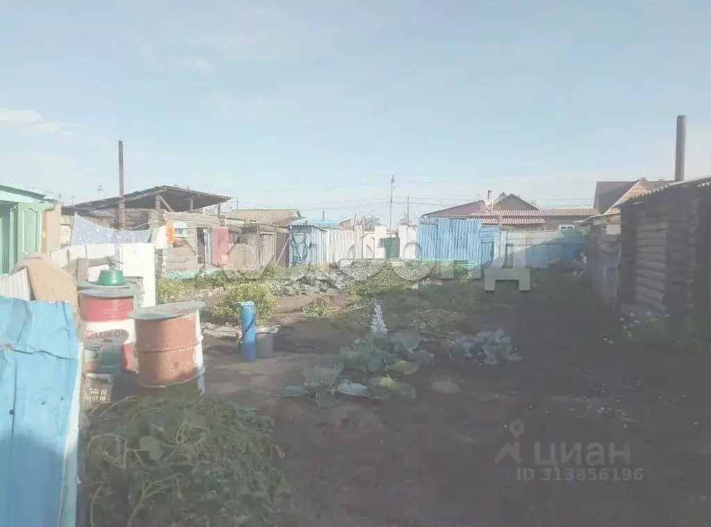 Дом в Забайкальский край, Борзя Советская ул. (37 м) - Фото 1